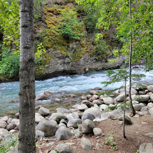 Meet your Posher, Elizabeth - Picture 7 of 10